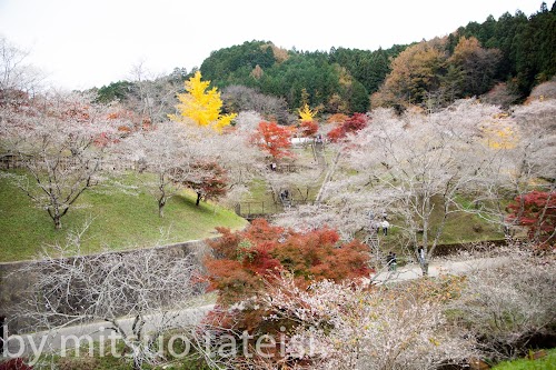 Obara Fureai Park