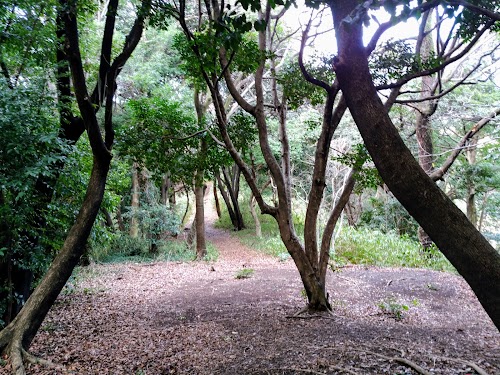 Danpusan Kofun