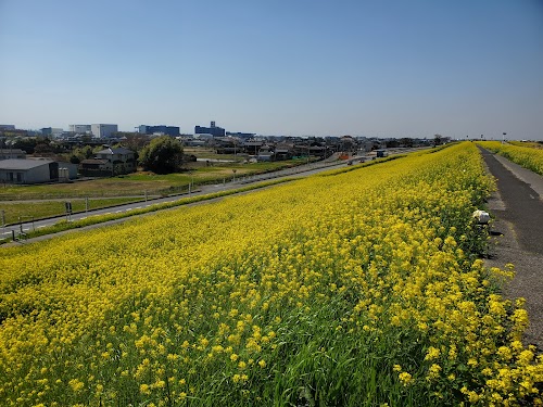 Yoshikawa Park