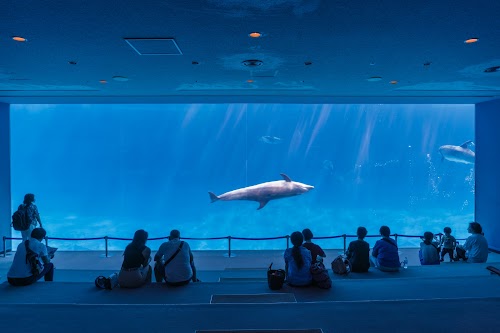 Port Of Nagoya Public Aquarium