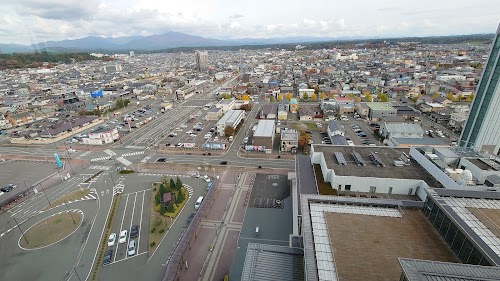 Akita