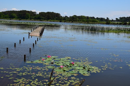 Tsugaru Area