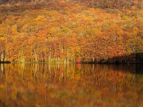 TSUTANUMA Pond