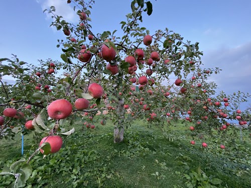 Hirosaki City Apple Park