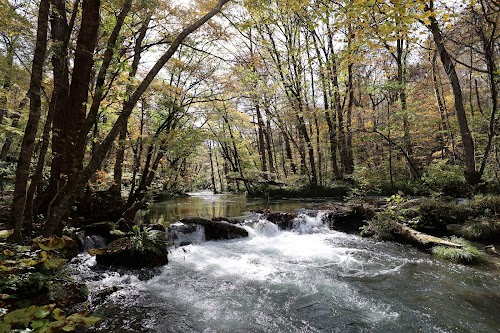 Oirase Gorge