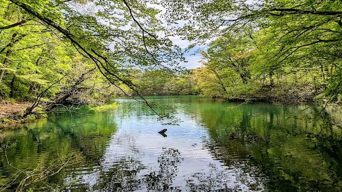 Lake Jūniko