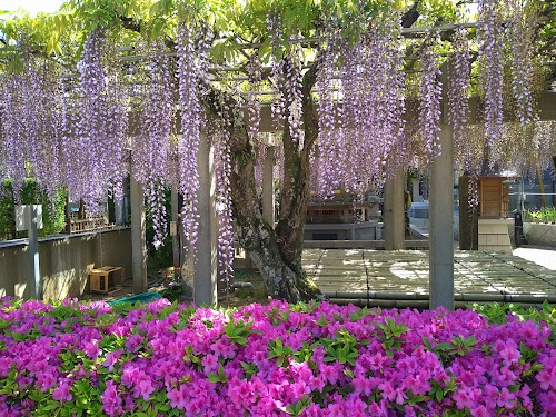 Myofukuji
