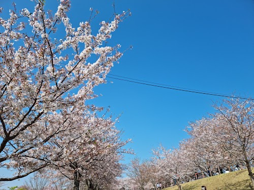  Sakuranoyama Park location image photo