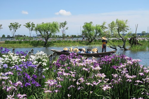 Suigo Sawara Ayame Park