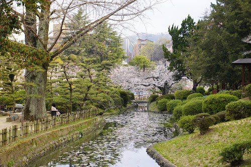  Dogo Park location image photo