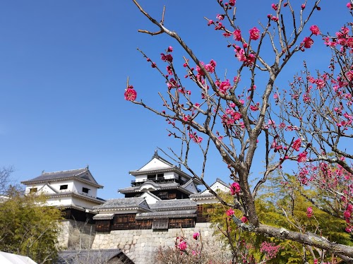  Matsuyama Castle location image photo