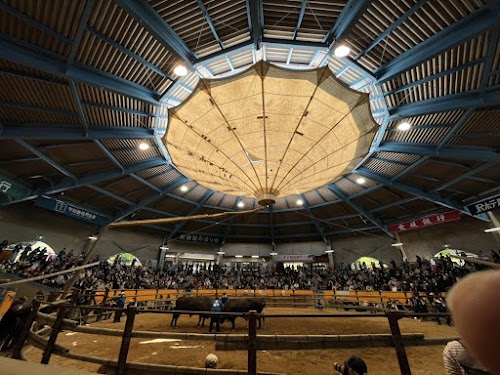 Municipal Bull sumo bullring of Uwajima.