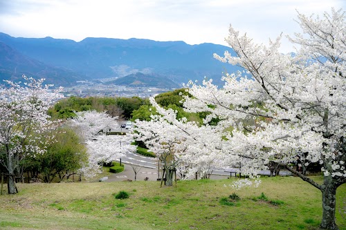 Toonshi Park