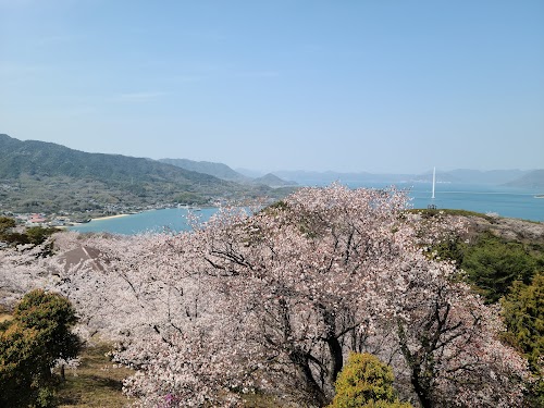 Hirakiyama Park