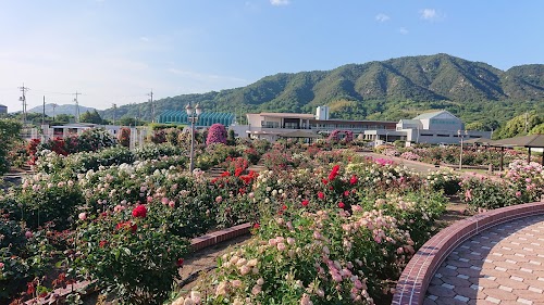 Yoshiumi Rose Park