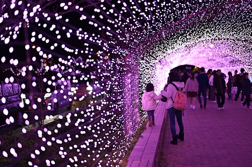  Kanegasaki Park location image photo