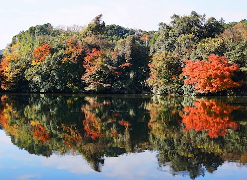 Kameyama Lake