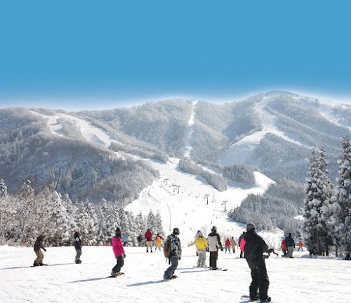  Ski Jam Katsuyama location image photo