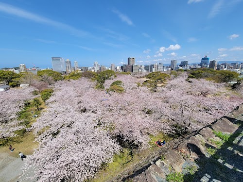  Maizuru Park location image photo