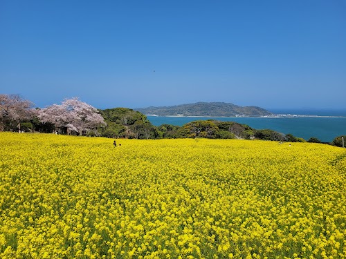 Nokonoshima Island Park