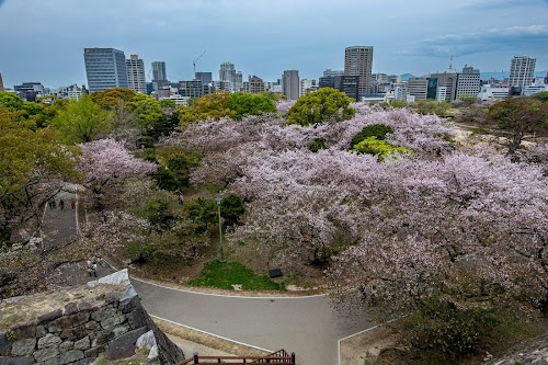 Fukuoka Castle Ruins