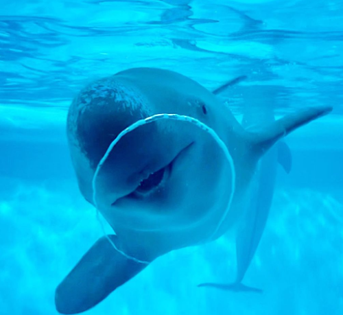  Marine World location image photo