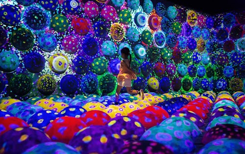 teamLab Forest Fukuoka