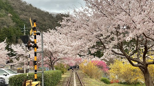 Yasuno Hananoeki Park