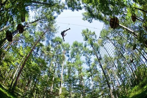 Forest Adventure Hiroshima
