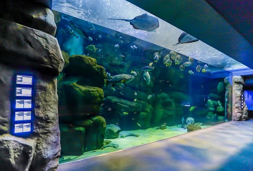  Miyajima Public Aquarium location image photo