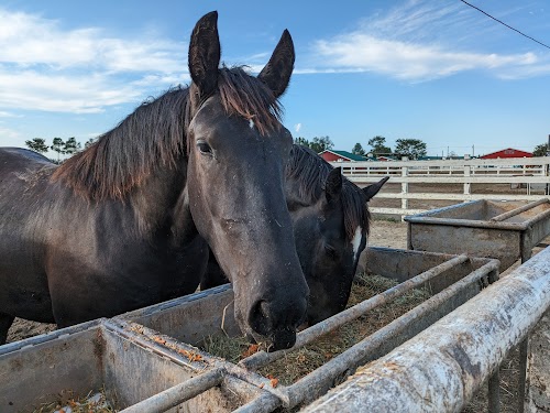 Banei Tokachi Ranch