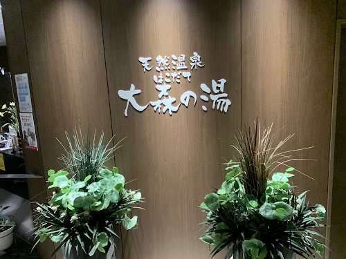 Tennen Onsen Hakodate Omori Noyu