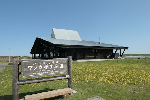 Wild Flower Tours during Summer