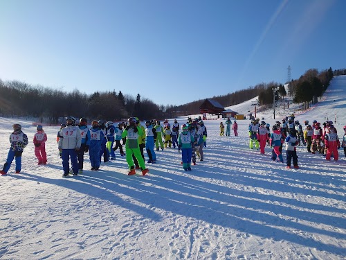 Snowboarding and Skiing in Winter (in nearby areas)