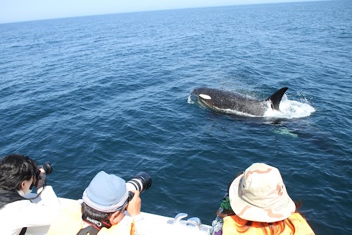 Shiretoko Rausu Coast (spectacular ocean views)