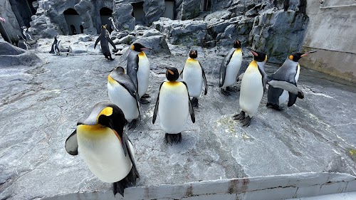 Asahikawa Zoo (if you venture west)