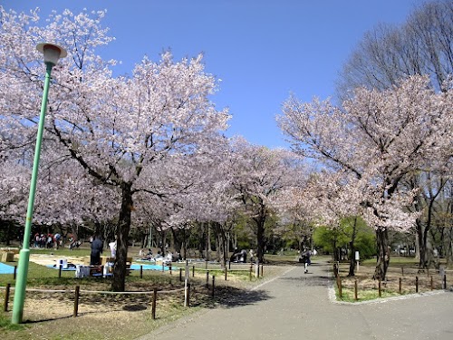 Maruyama Park