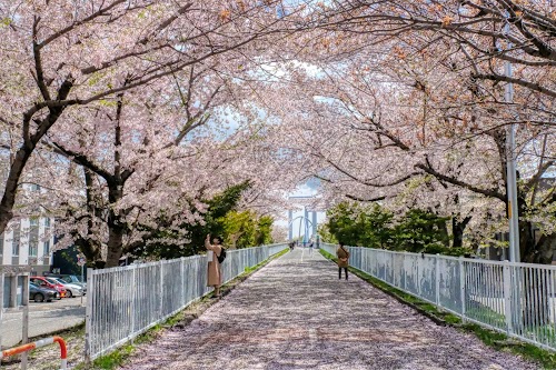Shiroishi Kokorodo (Shiroishi Cycling Road)