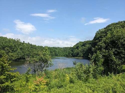 Nopporo Forest Park