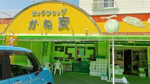 食彩館かね安