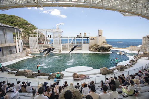  Kinosaki Marine World location image photo