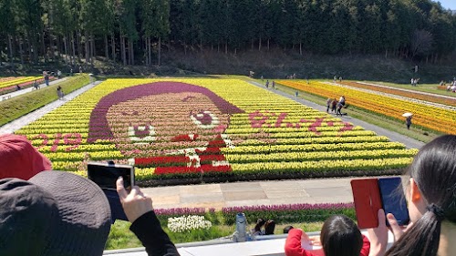 Tanto Flower Park
