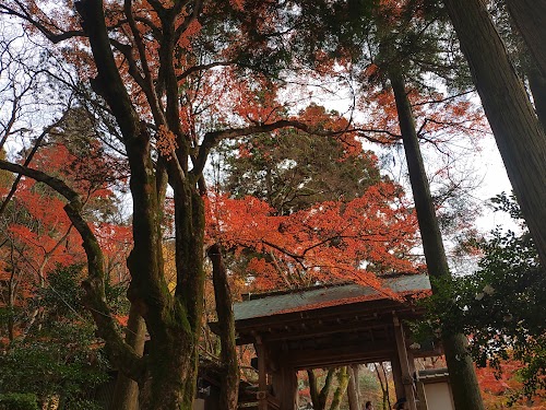 Zuihoji Park
