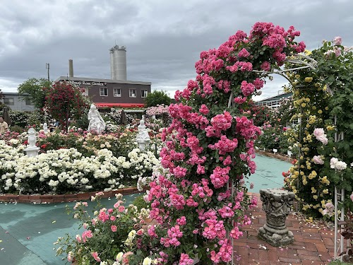 Himeji Rose Garden