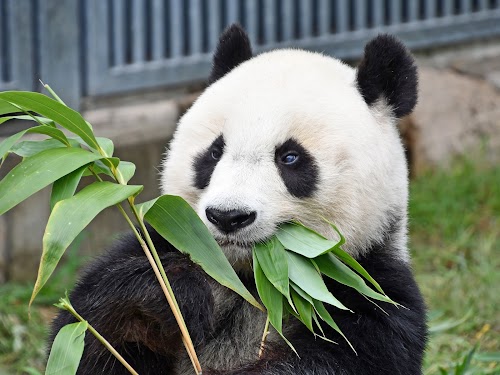 Kobe Ōji Zoo