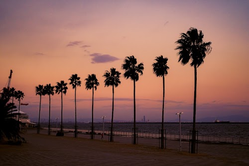 Marine Park