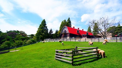 Rokkosan Pasture (Ranch)
