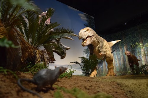 Ibaraki Nature Museum Park