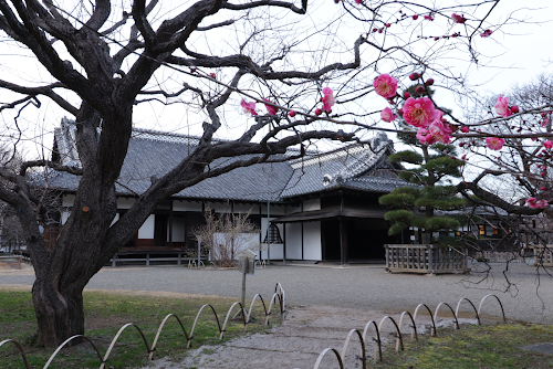  Kodokan location image photo