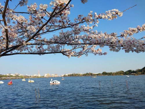 Senba Lake